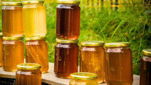 Discover the Delightful World of Honey: