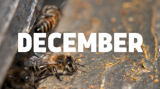 December