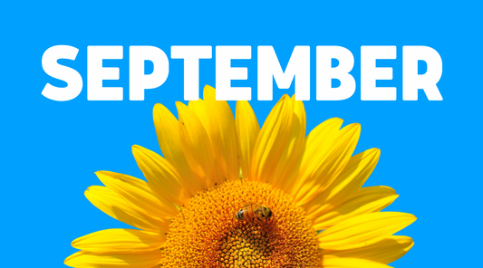 Beekeeping in September