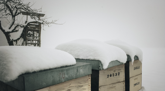 Closing Your Hives For Winter