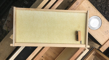 Adding Bees into Your Beehive