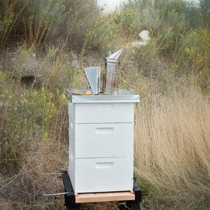 Setting up Your Beehive