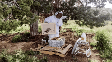 The Essential Beekeeper's Toolkit: Unveiling Harvest Lane's Premium Bee Keeper Kits