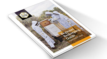 Beginner Beekeeping Guide [Free Download]