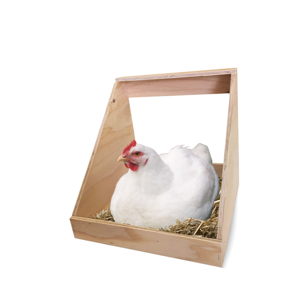 Chicken Nesting Box