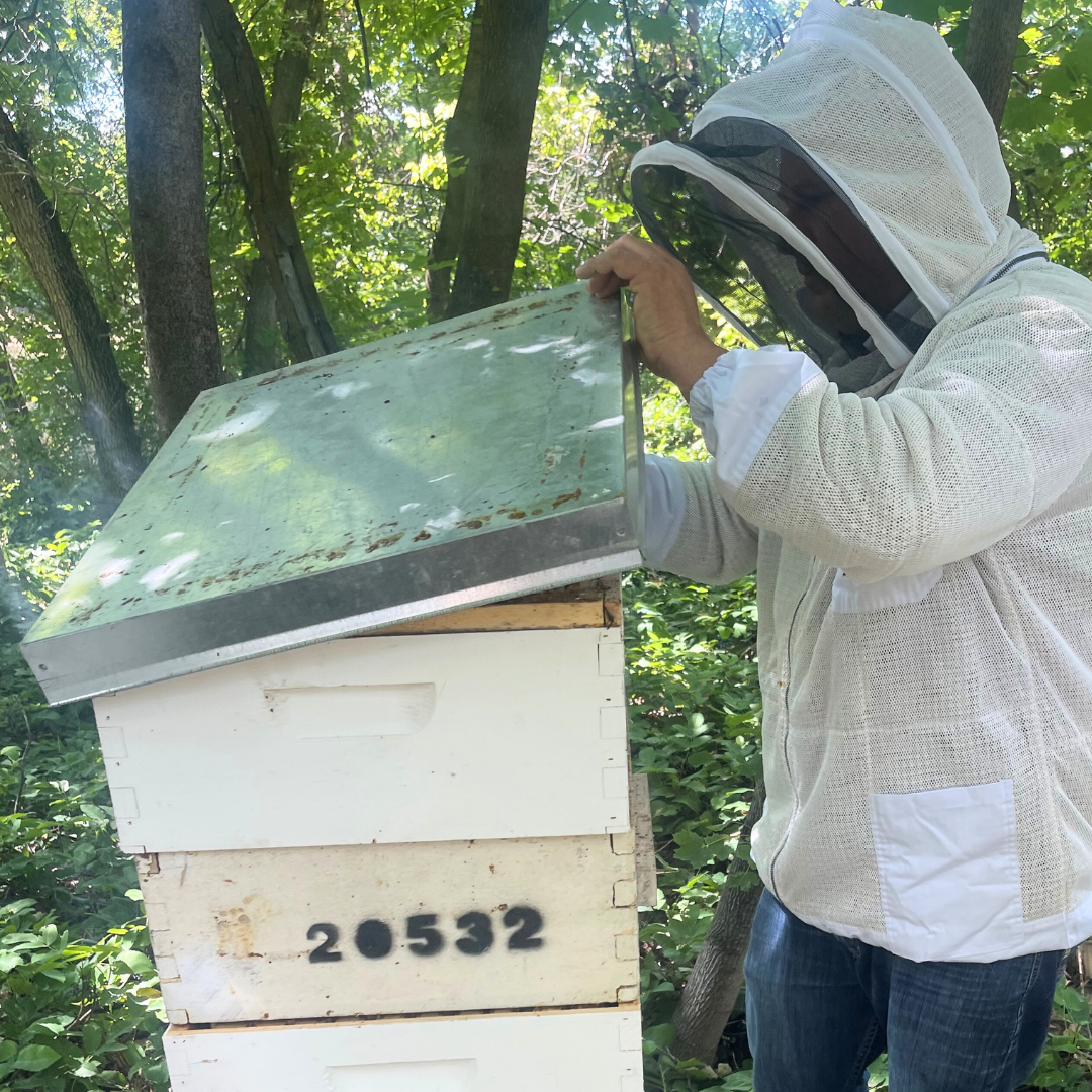Flat Metal Top for 8 or 10 Frame Hive