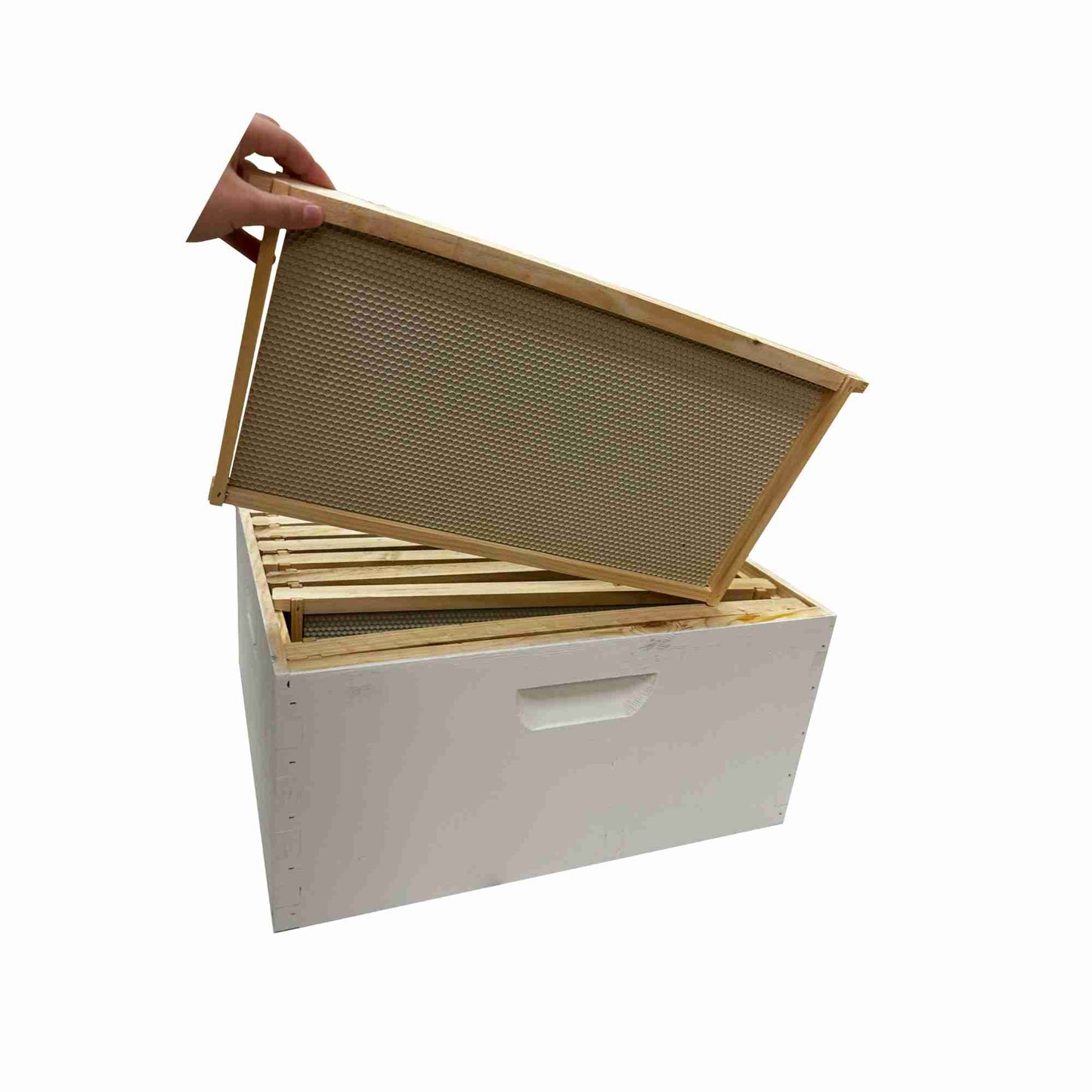 Deep Box Combo Painted & Assembled 8 or 10 frame