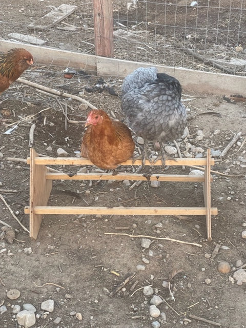 3-Bar Chicken Perch - Harvest Lane Honey