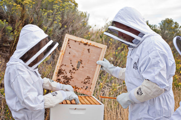 Beekeeping Goat Skin Gloves - Harvest Lane Honey