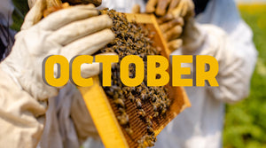 Beekeeping In October