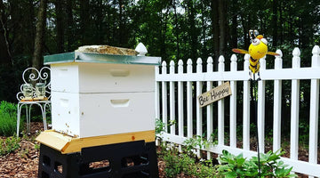 Beehive Registration in United States, Canada and Australia