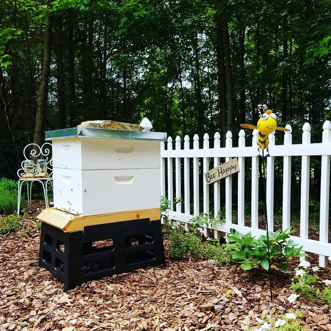 Beehive Registration in United States, Canada and Australia - Ag Manufacturing dba Harvest Lane Honey