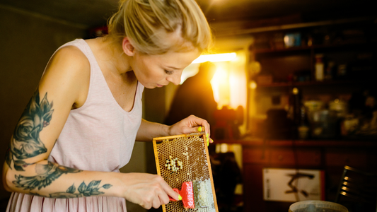 An Overview of the Honey Extraction Process