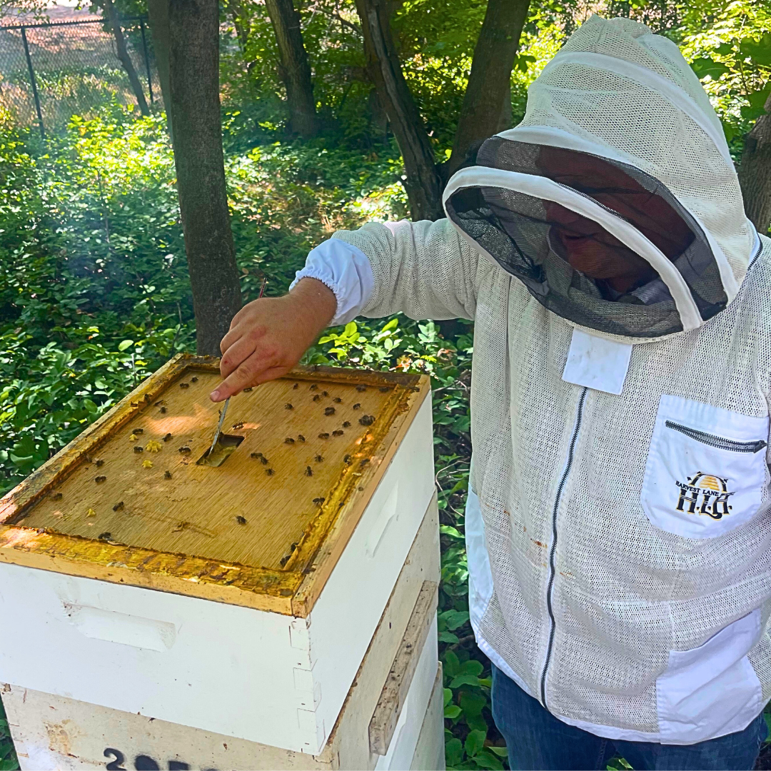 June Beekeeping: Managing Growth and Maximizing Honey Flow - Ag Manufacturing dba Harvest Lane Honey