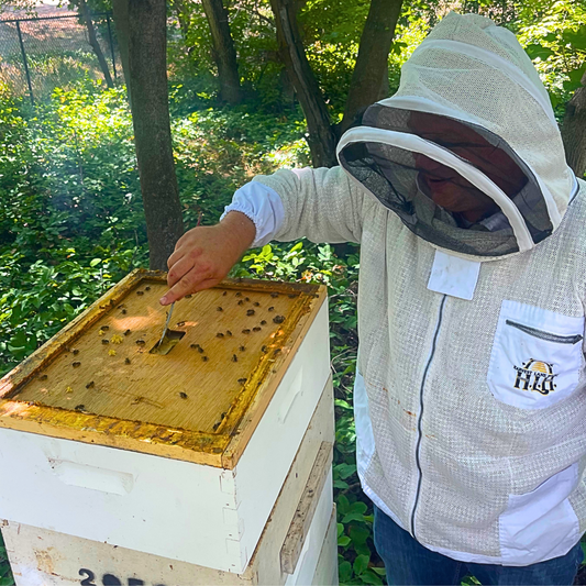 June Beekeeping: Managing Growth and Maximizing Honey Flow - Ag Manufacturing dba Harvest Lane Honey
