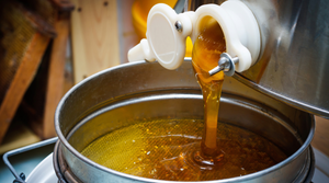 5 Honey Extraction Tips