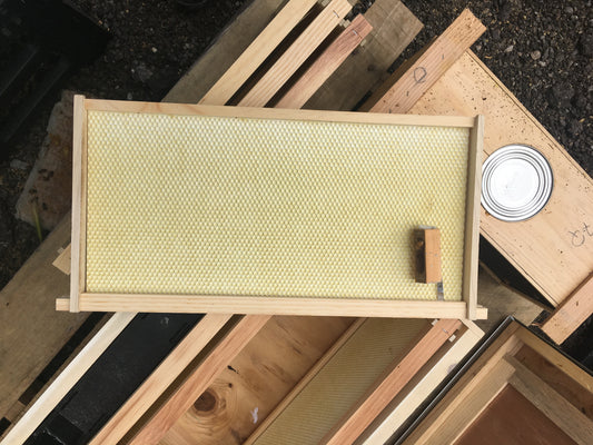 Adding Bees into Your Beehive