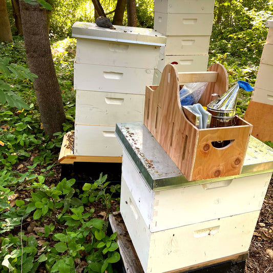 Spring Hive Maintenance