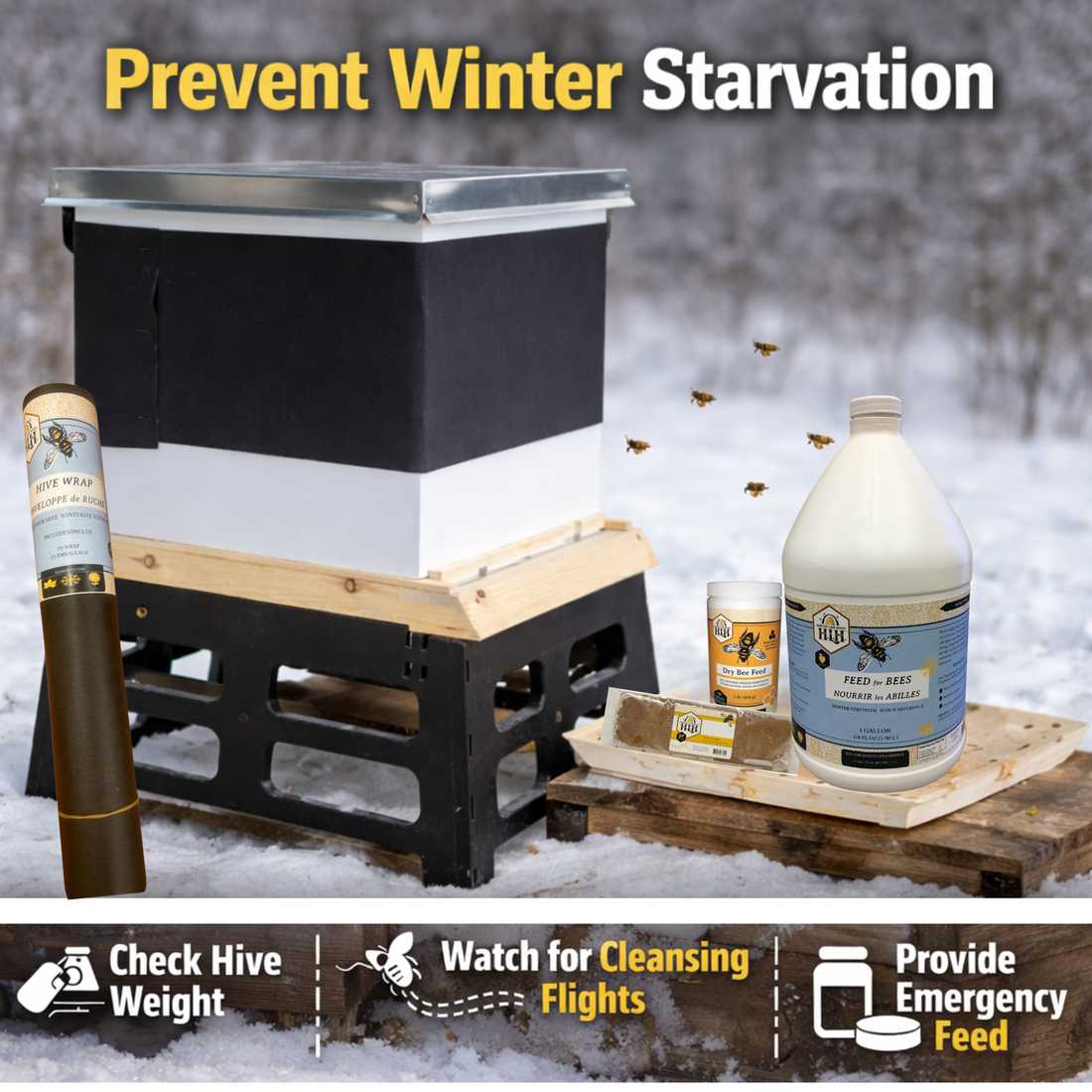 February: The Hunger Gap