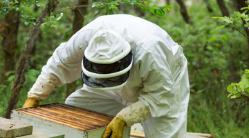 From Honey Harvest to Post-Extraction Clean-Up: