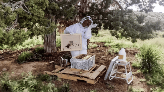 The Essential Beekeeper's Toolkit: Unveiling Harvest Lane's Premium Bee Keeper Kits - Ag Manufacturing dba Harvest Lane Honey