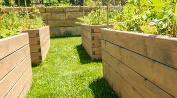 Preserving Garden Bed Wood with Beeswax