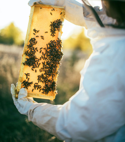 Selecting Protective Beekeeping Clothing