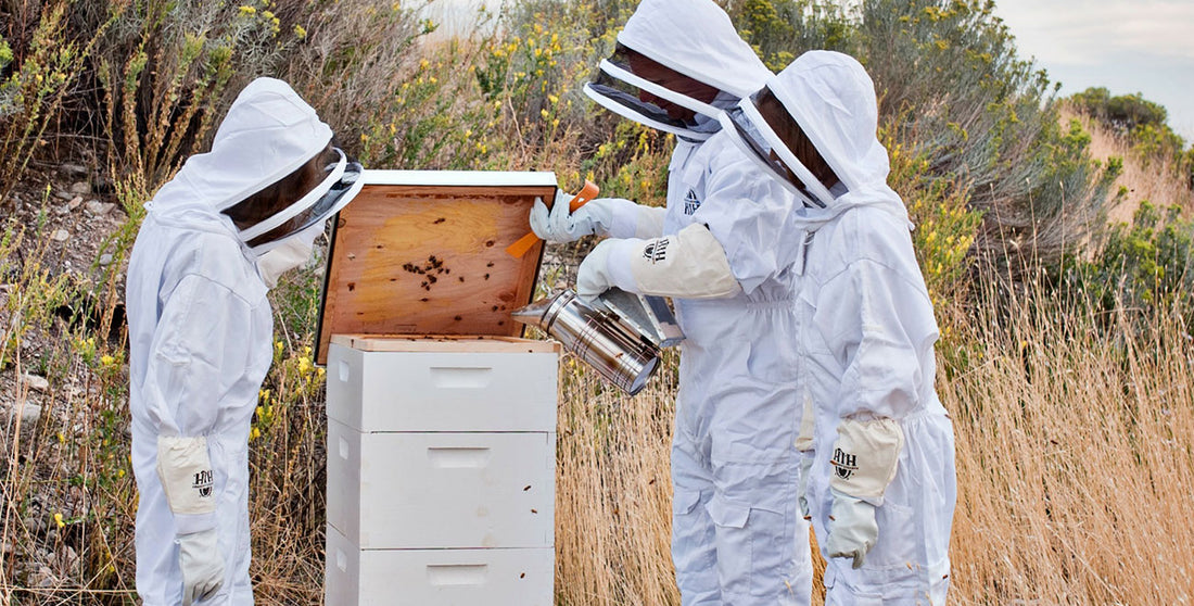 Backyard Beekeeping Trend Keeps TSC Buzzing