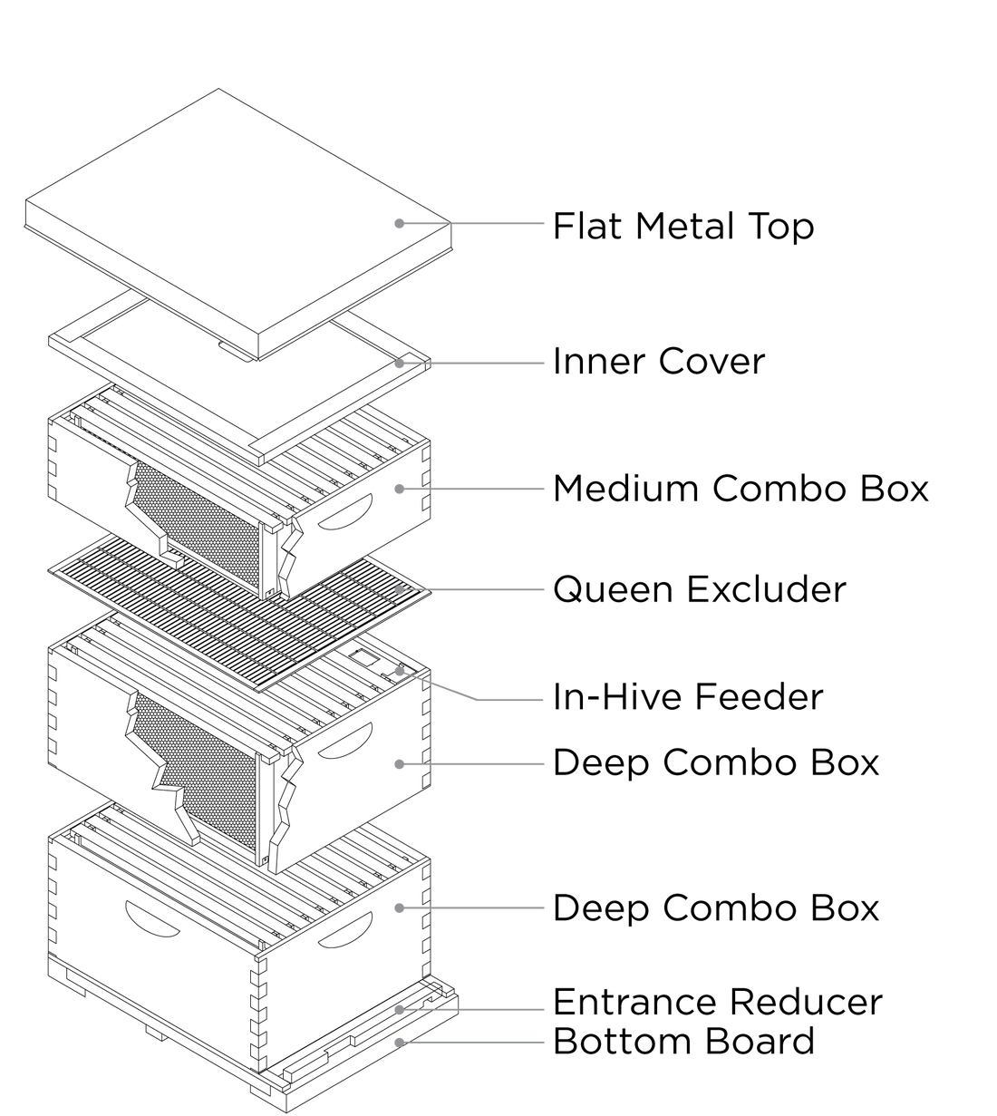 Growing Your Hive