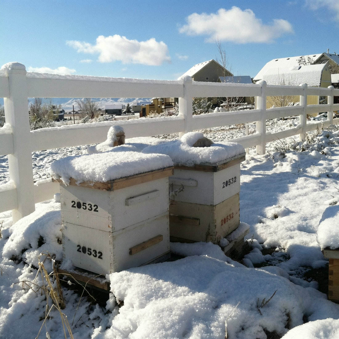 January: Inside the Winter Cluster