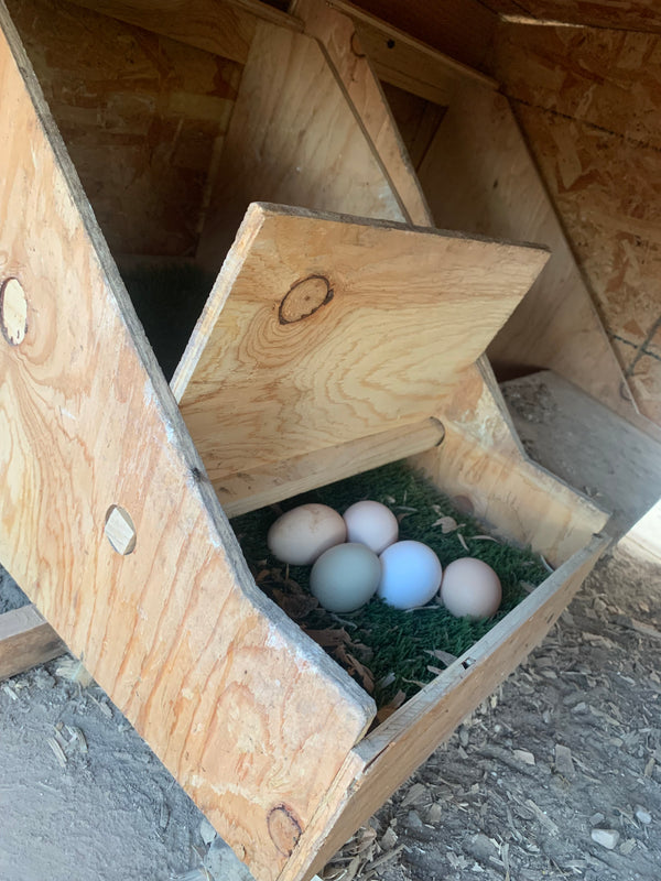 Rollaway Nesting Box