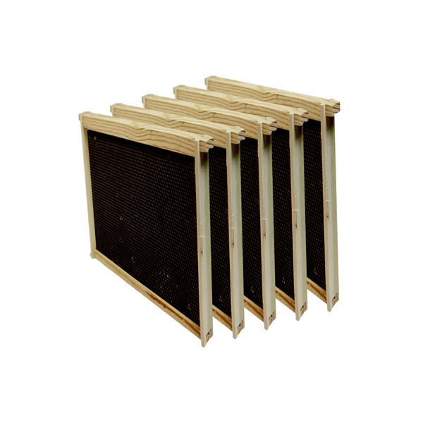 Deep Assembled Frame with Foundation in Natural or Black (1 or 5 pk)