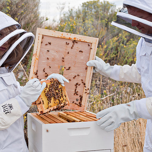 Medium Backyard Beekeeping Kit with Accessories - Harvest Lane Honey