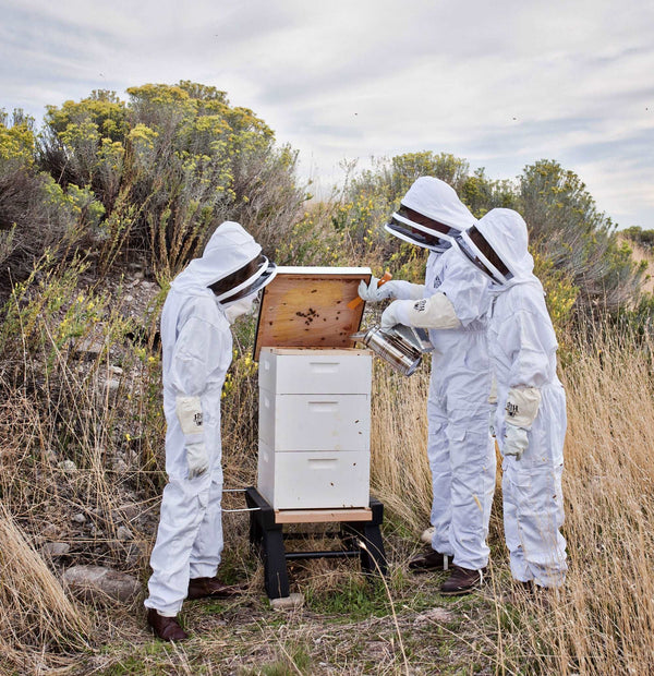Large Backyard Beekeeping Kit with Accessories - Harvest Lane Honey