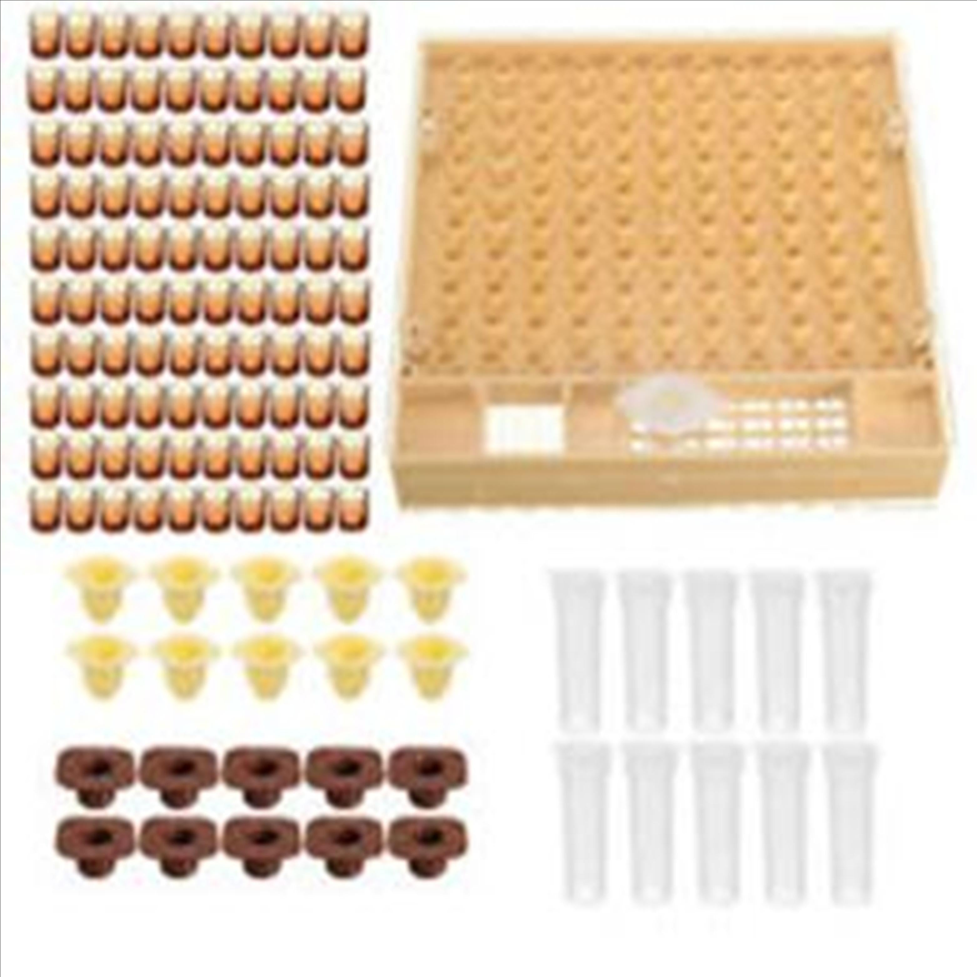 Queen Rearing Kit | Beekeeping Kit for Raising Queen Bees – Ag ...