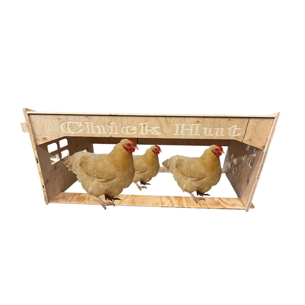 Large Chicken Hut Shelter