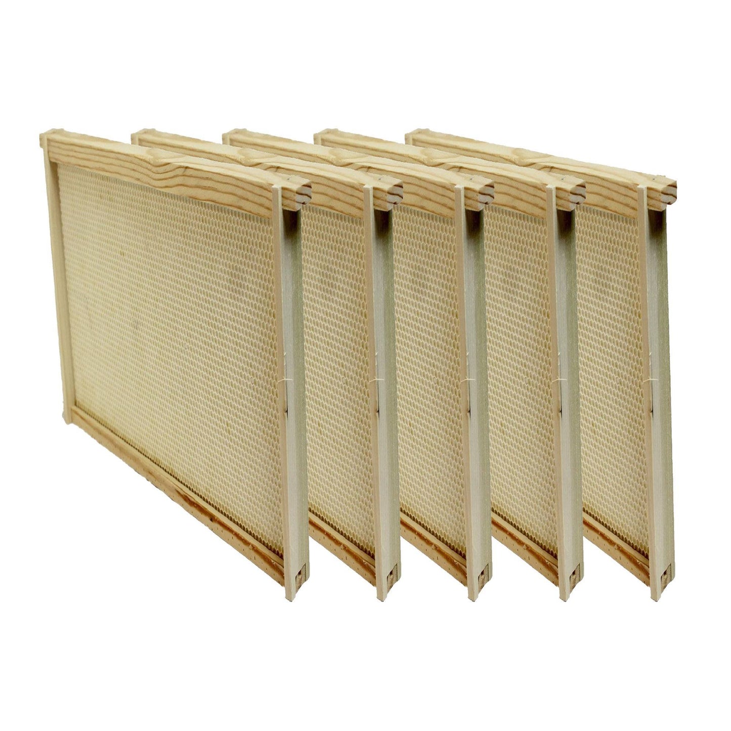 Deep Assembled Frame with Foundation in Natural or Black (1 or 5 pk) - Harvest Lane Honey