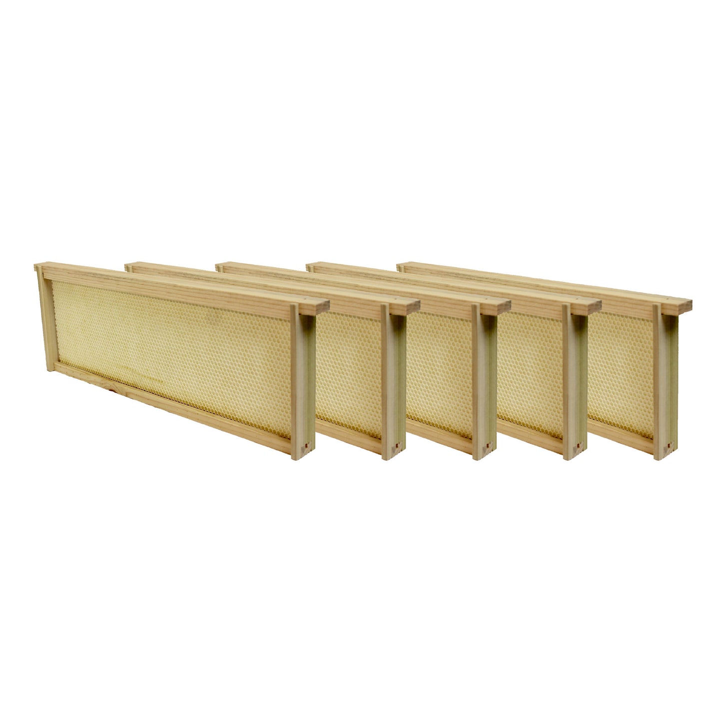 Medium Assembled Frame with Foundation (1 or 5 pk) - Harvest Lane Honey